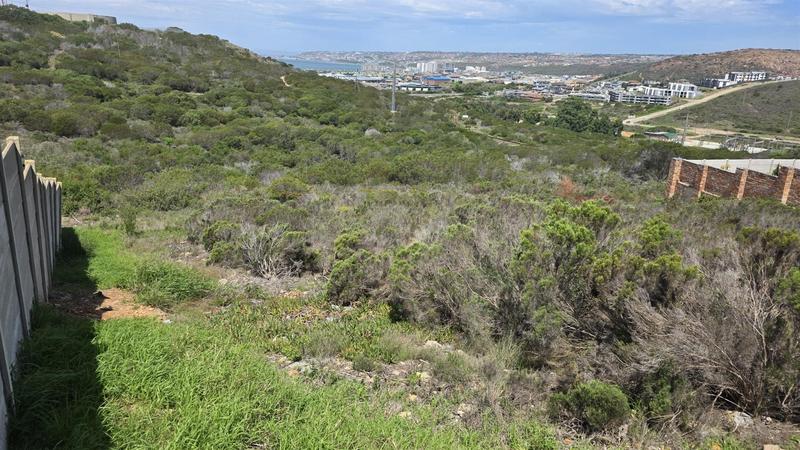 0 Bedroom Property for Sale in Seemeeu Park Western Cape